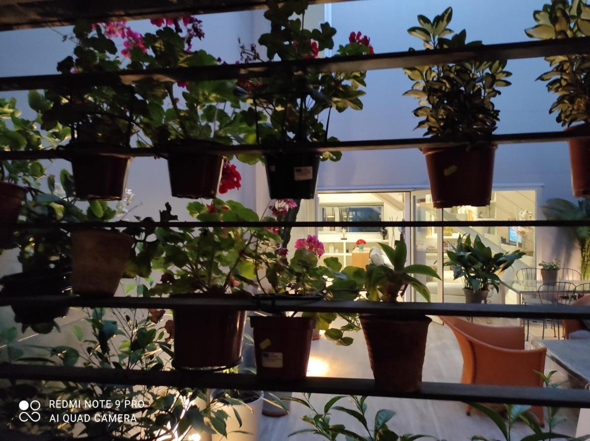 Habitacion Y Bano En Planta Independiente En Centro De Sevilla מראה חיצוני תמונה